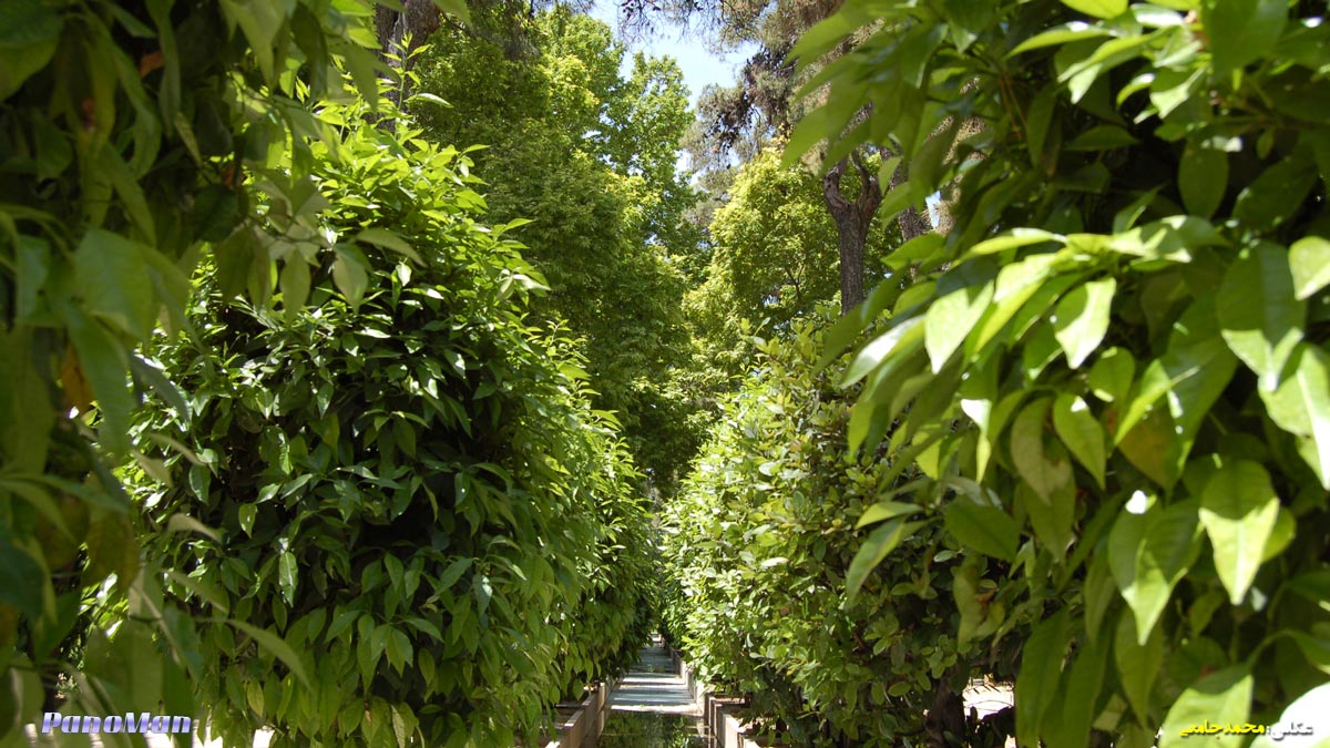 باغ ارم