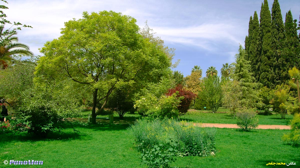 باغ ارم