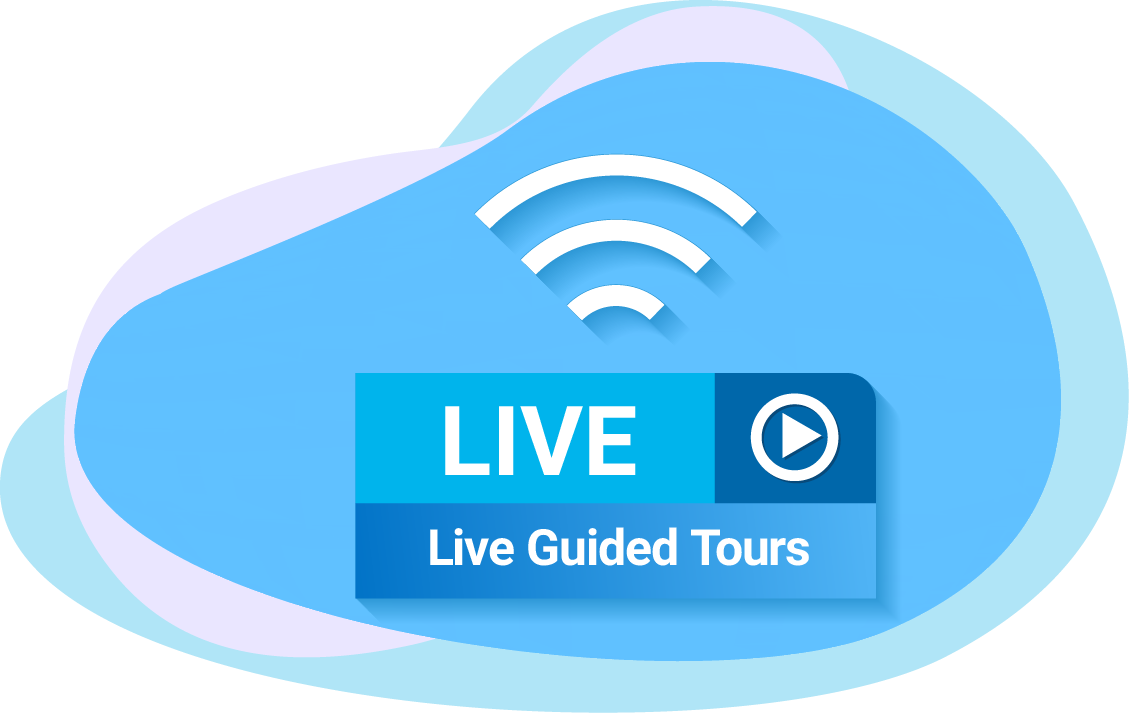 live conference in virtual tours